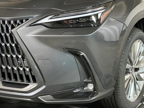 2025 Lexus NX 350 Luxury