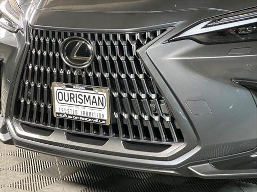 2025 Lexus NX 350 Luxury