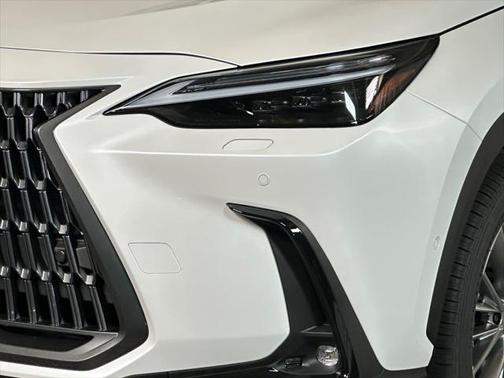 2025 Lexus NX 350 Luxury