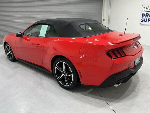 RACE RED 2024 Ford Mustang EcoBoost Premium