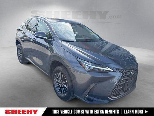 Cloudburst Gray 2024 Lexus NX 350 Premium