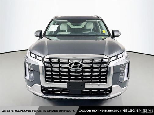 Steel Graphite 2025 Hyundai PALISADE Calligraphy