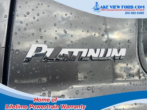 2013 Toyota Tundra Platinum