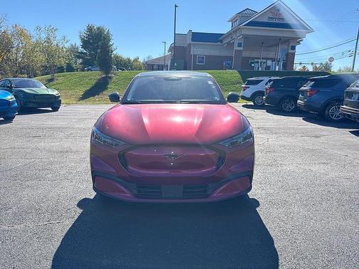 MOLTEN MAGENTA TINTED CC 2025 Ford Mustang Mach-E Premium