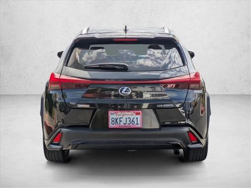 2019 Lexus UX 250h F Sport