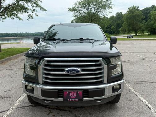 Guard Metallic 2015 Ford F-150 XLT