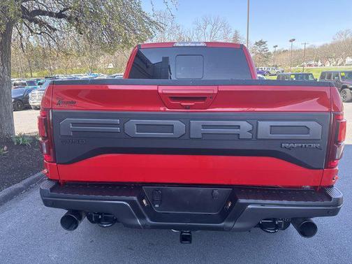 Race Red 2019 Ford F-150 Raptor