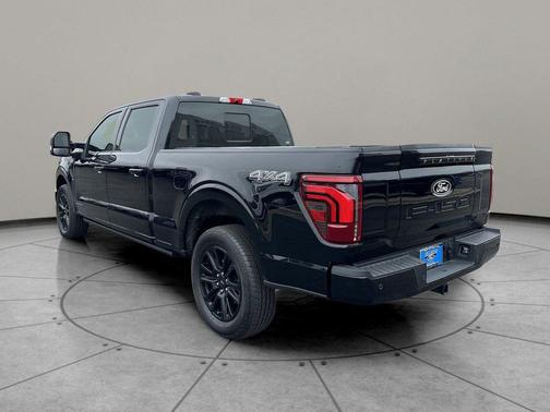 AGATE BLACK METALLIC 2025 Ford F-150 Platinum
