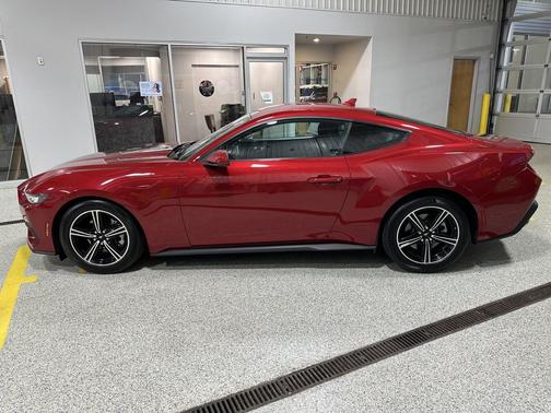 Rapid Red Metallic Tinted Clearcoat 2024 Ford Mustang EcoBoost