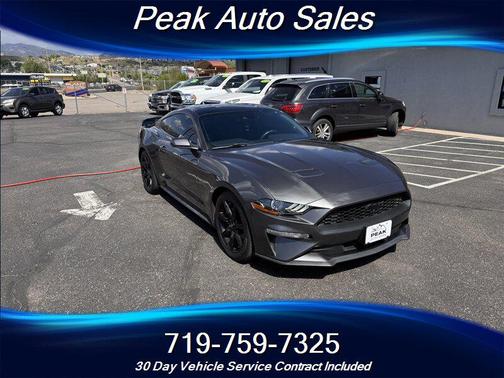 Magnetic Metallic 2019 Ford Mustang EcoBoost