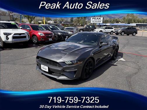 Magnetic Metallic 2019 Ford Mustang EcoBoost