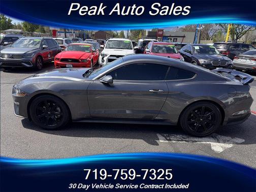 Magnetic Metallic 2019 Ford Mustang EcoBoost