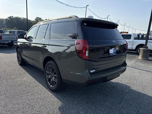 Wild Green 2025 Ford Expedition Platinum