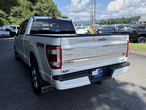 2022 Ford F-150 Platinum