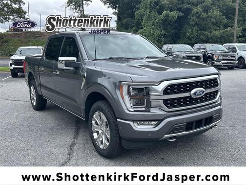 2022 Ford F-150 Platinum