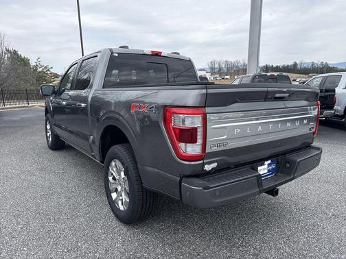 2022 Ford F-150 Platinum