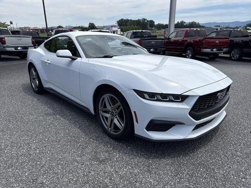 OXFORD WHITE 2024 Ford Mustang EcoBoost