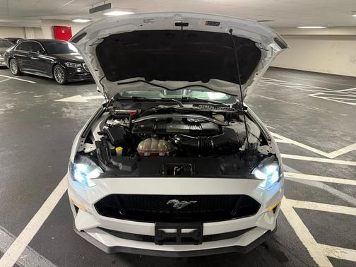 2019 Ford Mustang GT Premium