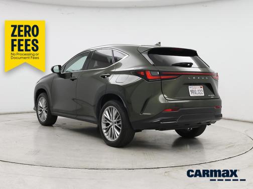 Green 2025 Lexus NX 350h Luxury
