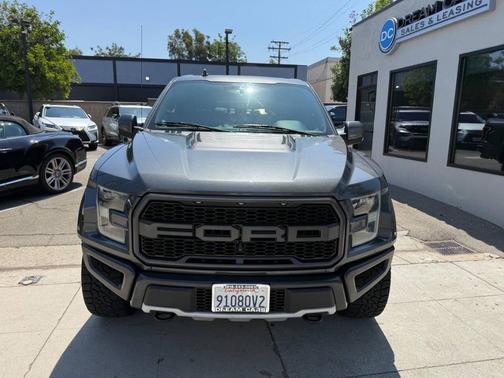 Magnetic 2019 Ford F-150 Raptor 4x4 4dr SuperCrew 5.5 ft. SB