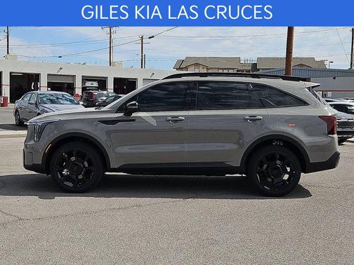 Road Rider Brown 2026 Kia Sorento SX