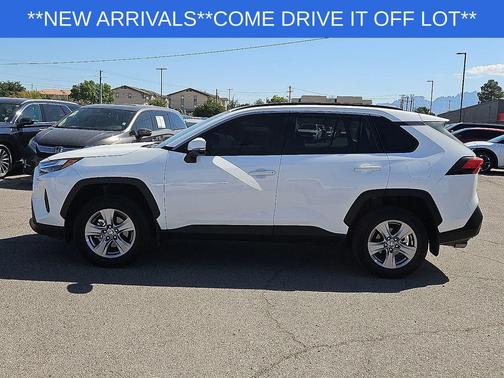 Ice Cap 2025 Toyota RAV4 XLE