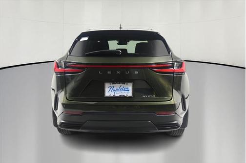 2024 Lexus NX 250 Premium