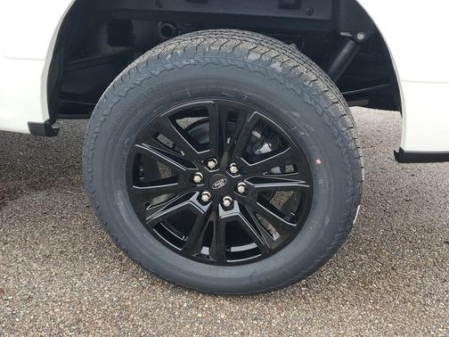 White 2025 Ford F-150 Platinum