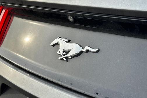 2017 Ford Mustang EcoBoost