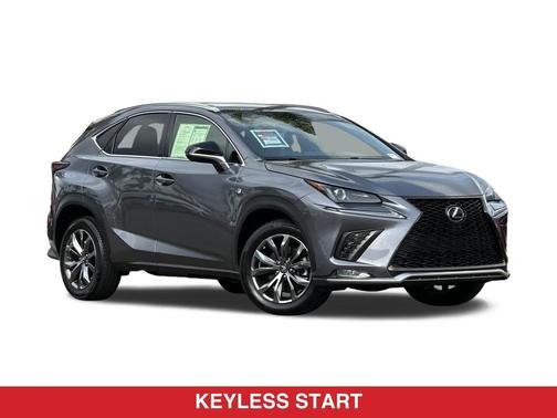 Nebula Gray Pearl 2019 Lexus NX 300 F Sport