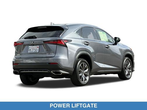 Nebula Gray Pearl 2019 Lexus NX 300 F Sport