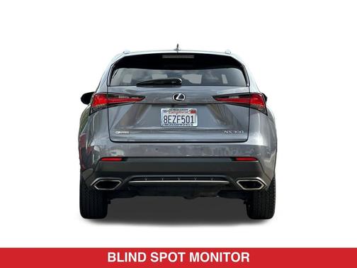 Nebula Gray Pearl 2019 Lexus NX 300 F Sport