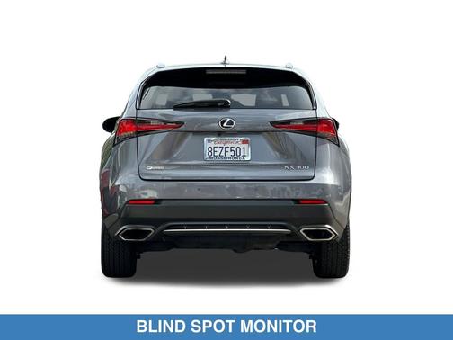 Nebula Gray Pearl 2019 Lexus NX 300 F Sport