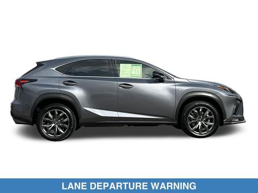 Nebula Gray Pearl 2019 Lexus NX 300 F Sport