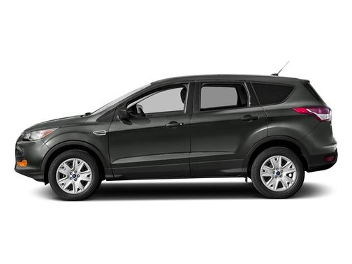 Magnetic 2016 Ford Escape SE