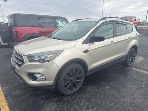 White Gold 2018 Ford Escape SE