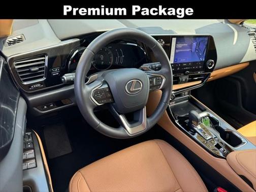 2025 Lexus NX 250 Premium