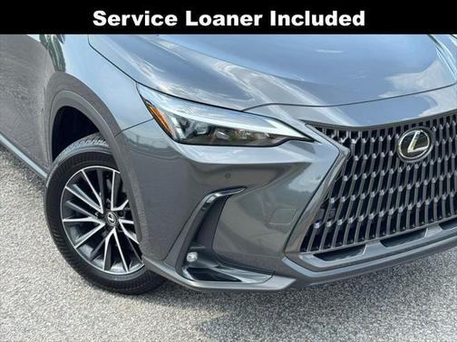 2025 Lexus NX 250 Premium