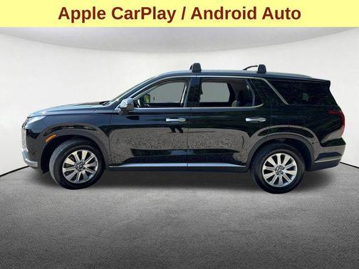 Abyss Black Pearl 2025 Hyundai PALISADE SEL
