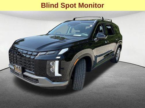 Abyss Black Pearl 2025 Hyundai PALISADE SEL