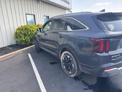 Panthera Metal 2025 Kia Sorento S