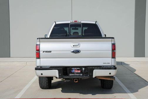 Ingot Silver 2013 Ford F-150 FX4