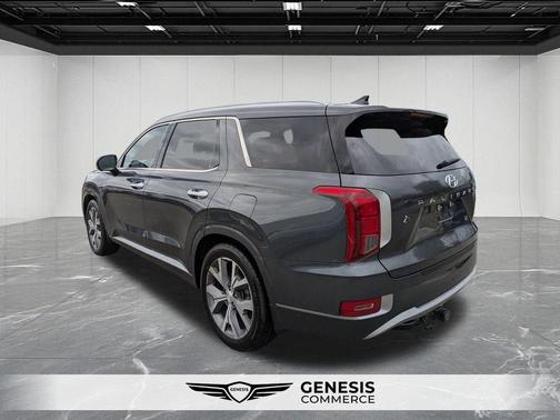 Rainforest 2022 Hyundai PALISADE Limited