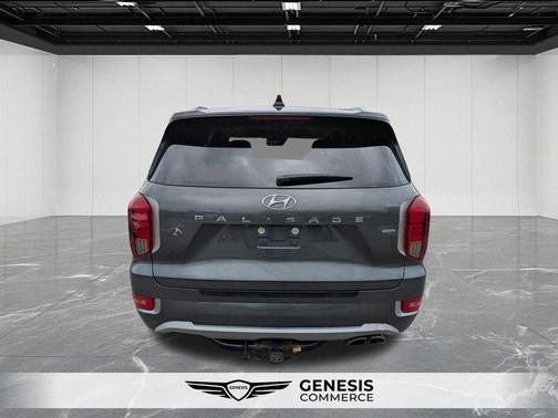 Rainforest 2022 Hyundai PALISADE Limited