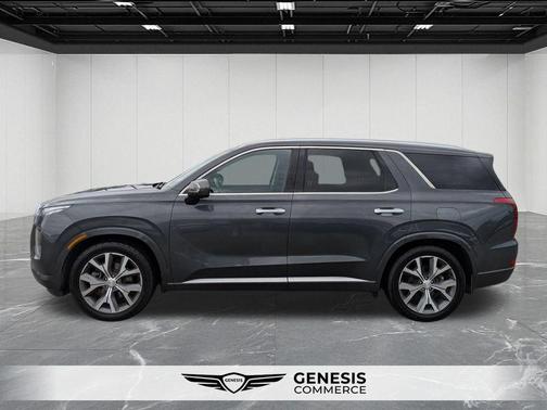 Rainforest 2022 Hyundai PALISADE Limited