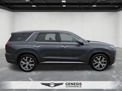 Rainforest 2022 Hyundai PALISADE Limited