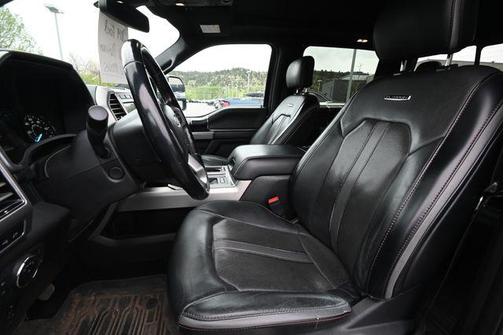 Magnetic 2019 Ford F-150 Platinum