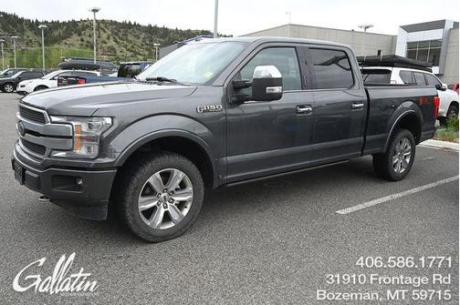 Magnetic 2019 Ford F-150 Platinum