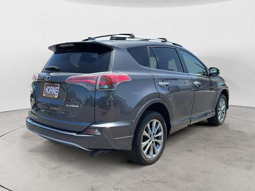 2017 Toyota RAV4 Platinum