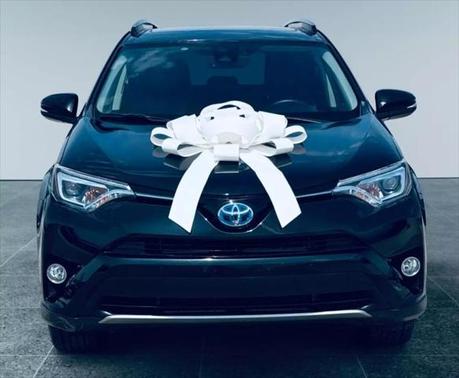 2017 Toyota RAV4 Hybrid Limited